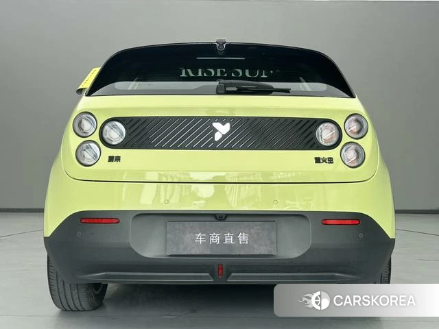 firefly firefly Unknown id 4198964 из Китая 9