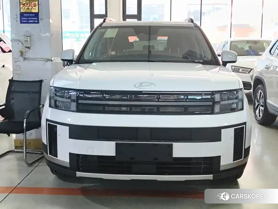Hyundai Santa Fe id 4685906 из Китая 10