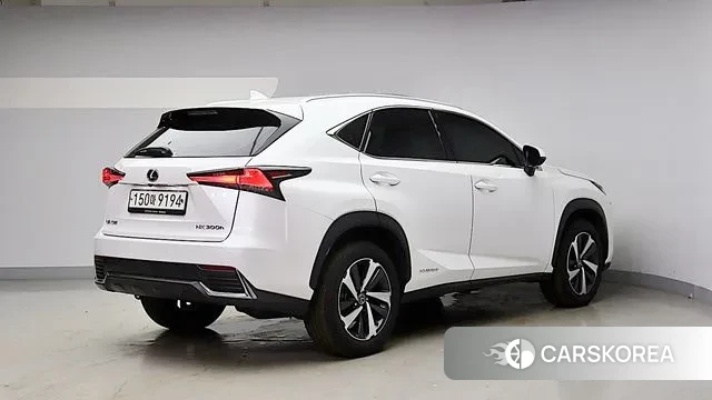 Lexus NX300h id 2994920 из Кореи 14