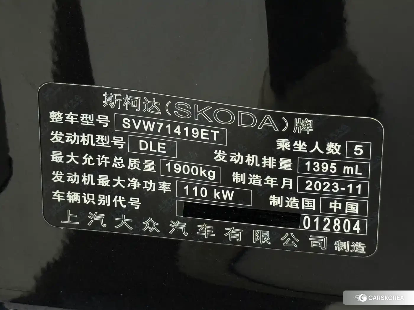 Skoda Speed pie id 4570642 из Китая 16