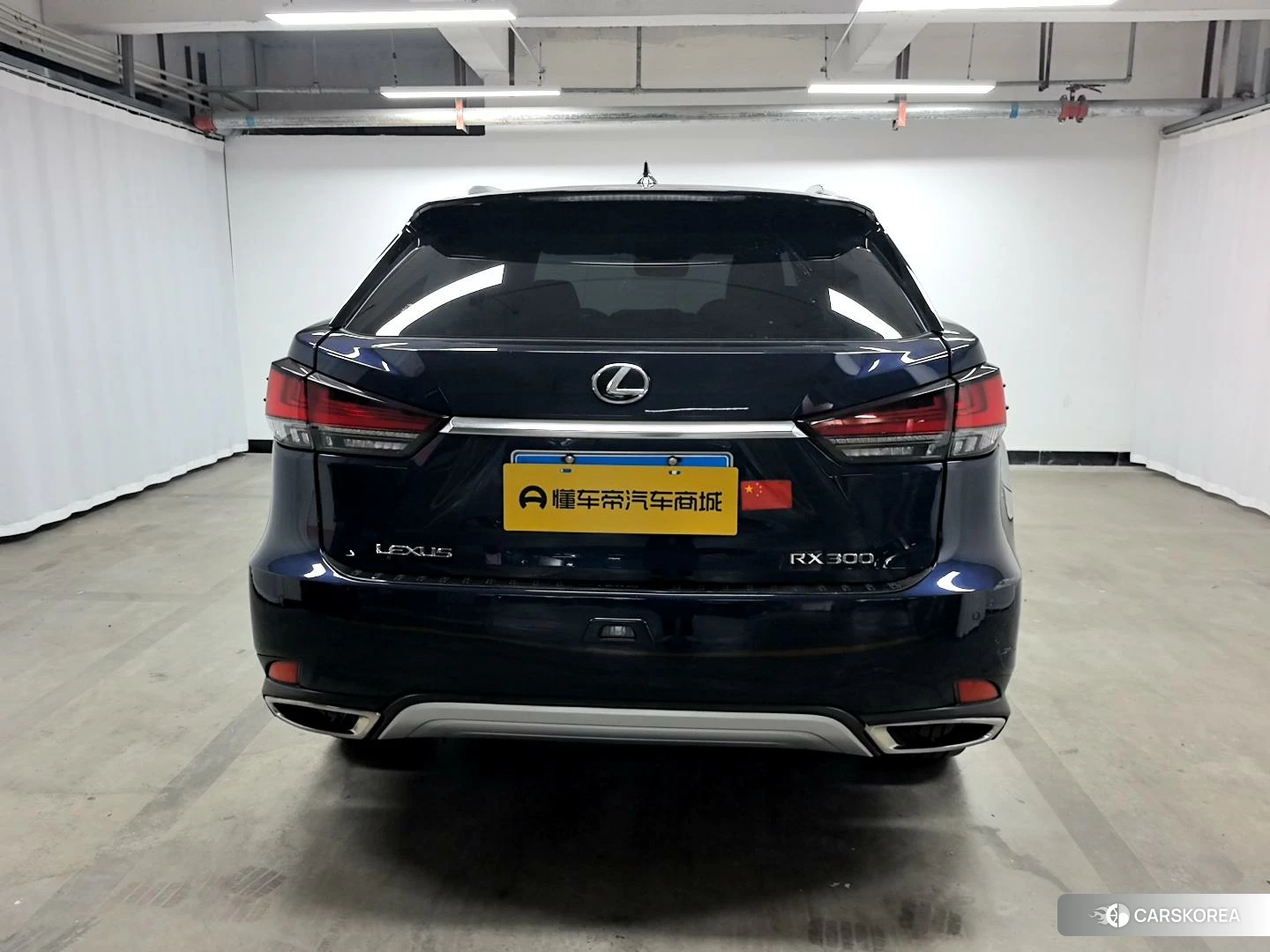 Lexus RX id 4505036 из Китая 14