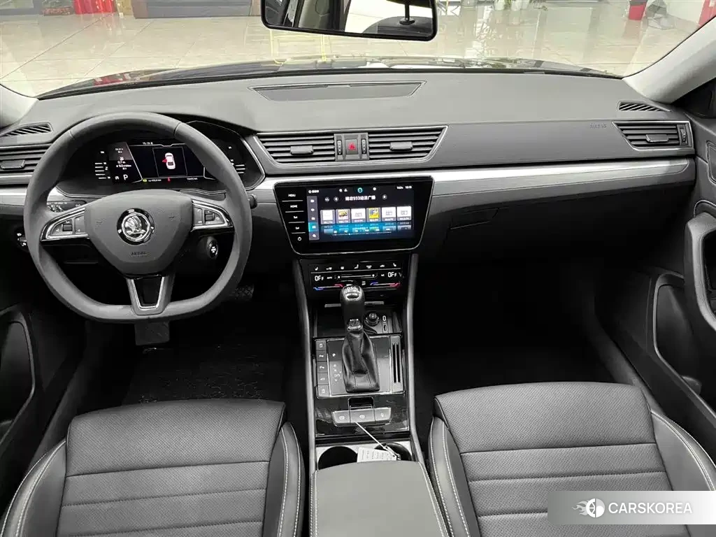 Skoda Speed pie id 4538728 из Китая 19
