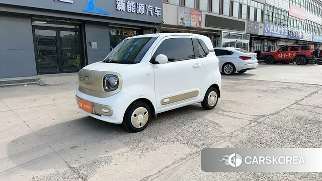 Pentium pony 2025 Белый из Китая, фото 4