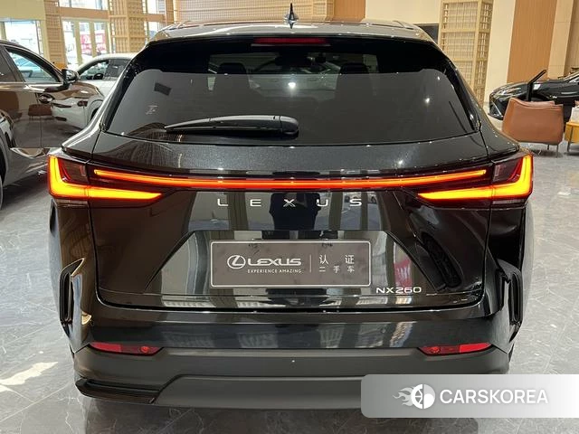 Lexus NX id 4262177 из Китая 11