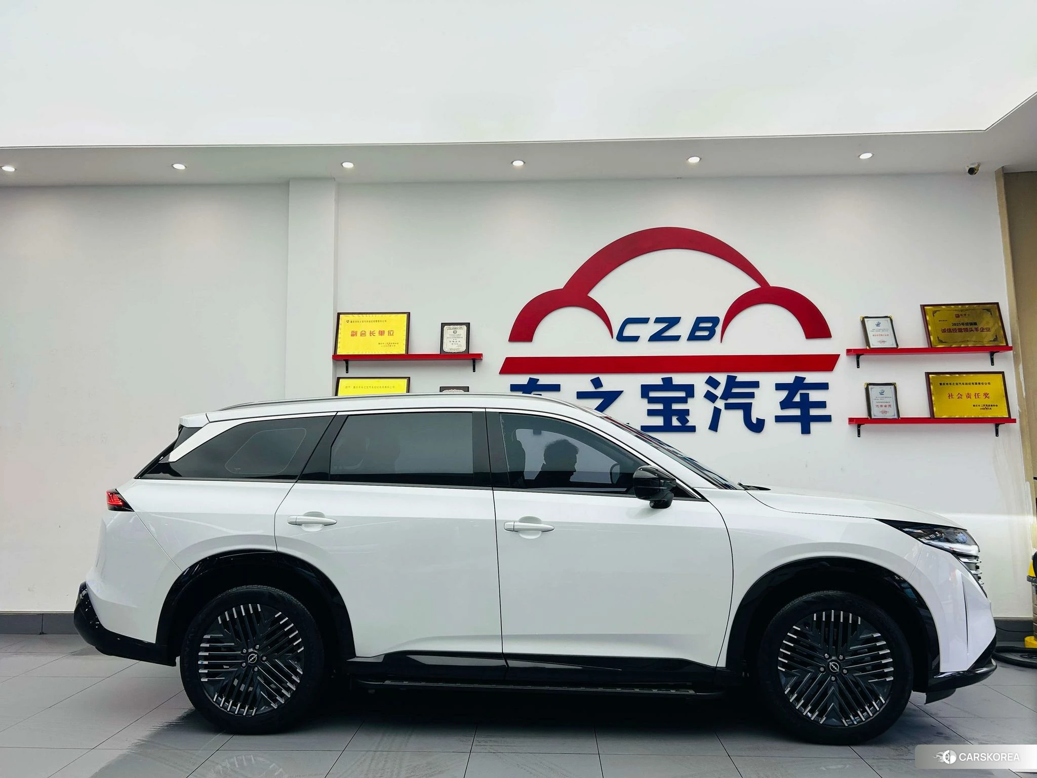 Nissan Exploring the land id 4512527 из Китая 21
