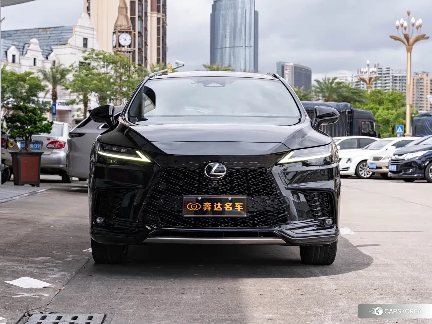 Lexus RX id 4606890 из Китая 19