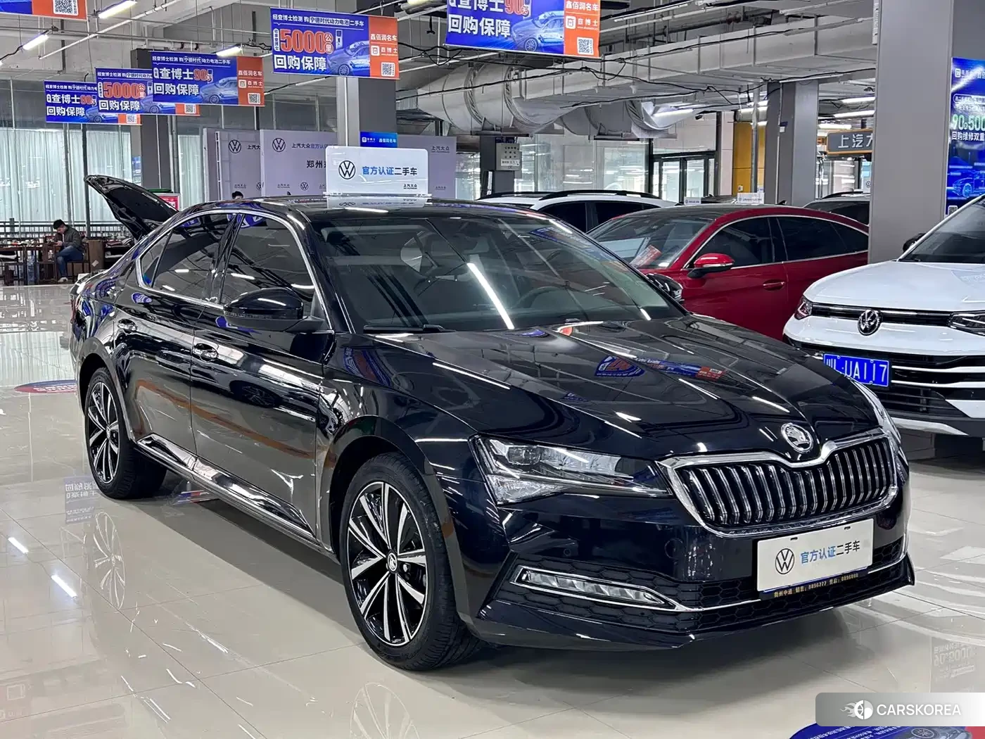 Skoda Speed pie id 4538742 из Китая 7