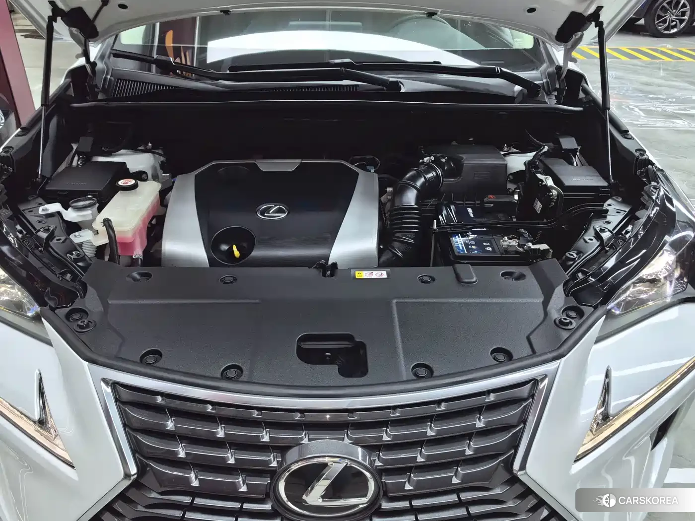 Lexus NX id 4622644 из Китая 33