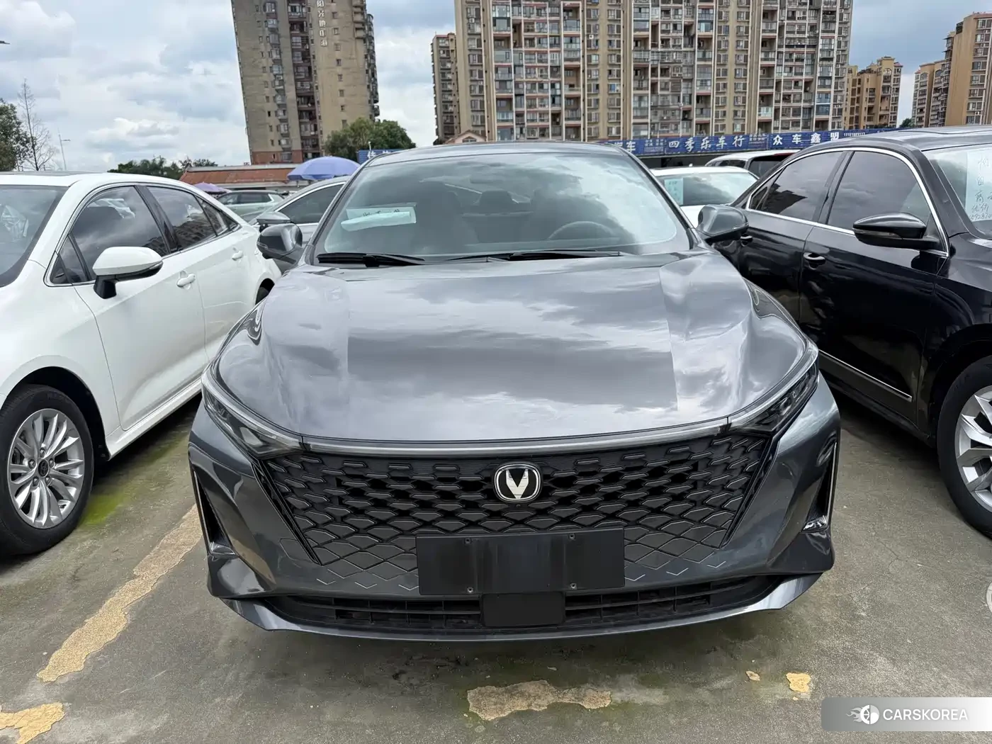 Chang'an Ruicheng PLUS id 4570311 из Китая 10