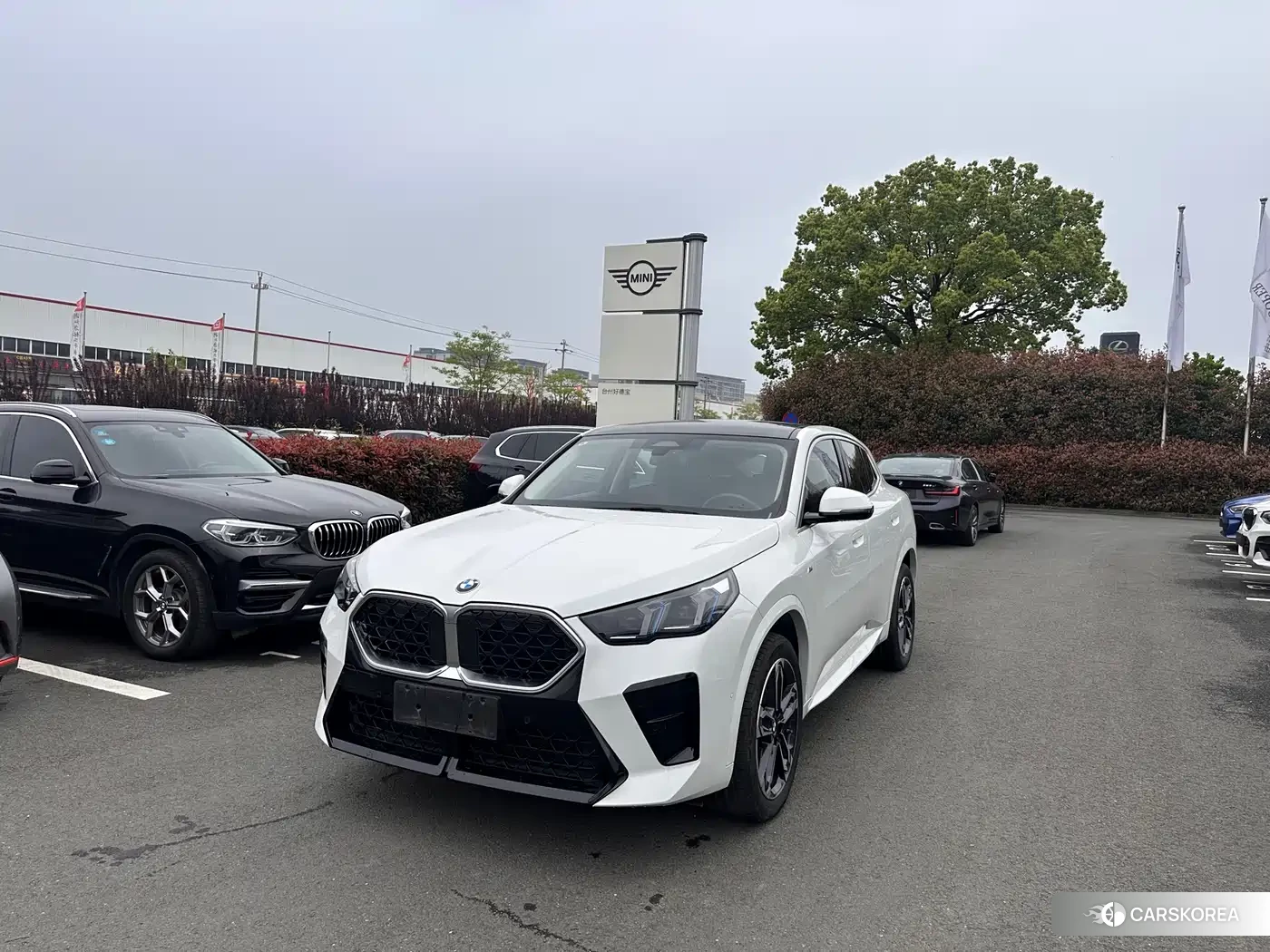 BMW X2 2025 Белый из Китая, фото 4