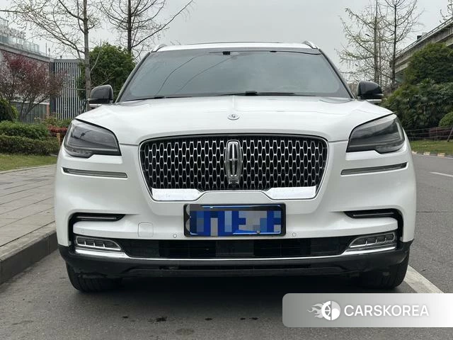 Lincoln Flying Home (imported) 2020 Белый из Китая, фото 5
