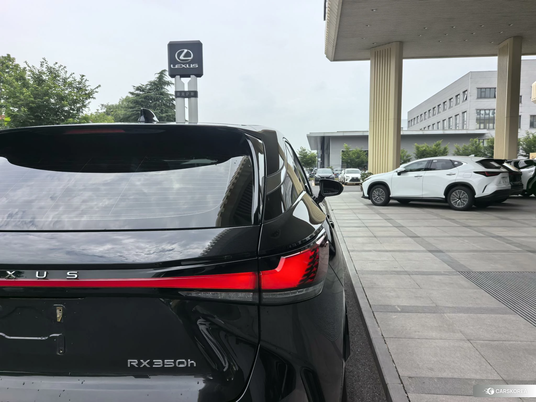 Lexus RX id 4486512 из Китая 11
