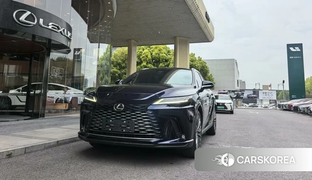 Lexus RX id 4290406 из Китая 11