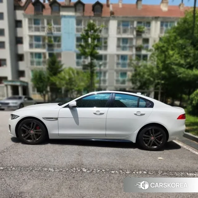 Jaguar XE 2018 Белый из Кореи, фото 4