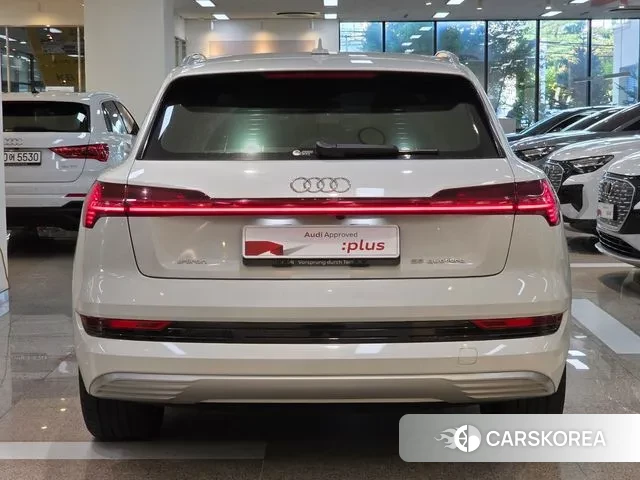 Audi e-Tron id 3499106 из Кореи 13