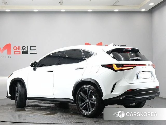Lexus NX350h Second generation 2026 Белый из Кореи, фото 4