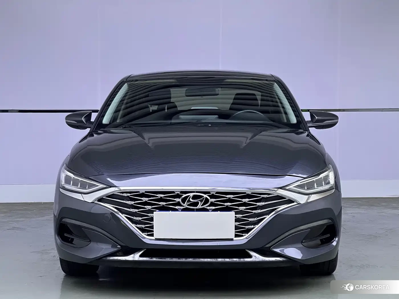 Hyundai Lafesta id 4679745 из Китая 8