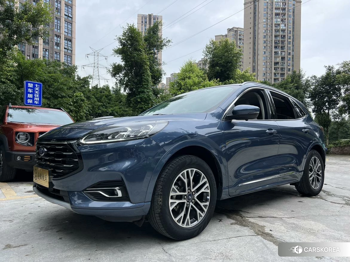 Ford Ruiji id 4499138 из Китая 20