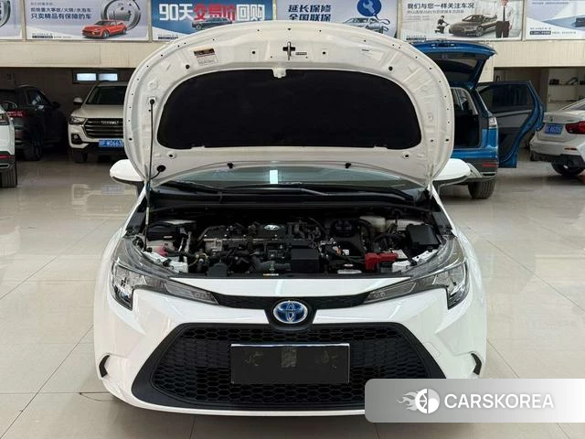 Toyota Lei Ling id 4301698 из Китая 16