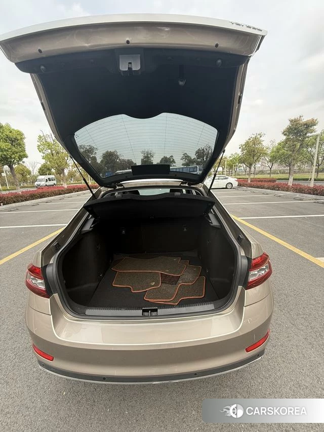 Skoda Octavia 2020 Шампань из Китая, фото 6