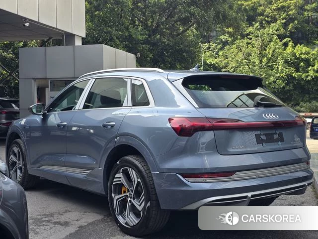 Audi e-tron id 4253714 из Китая 17