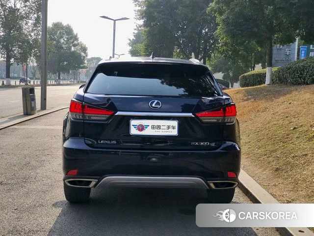 Lexus RX 2022 Синий из Китая, фото 4