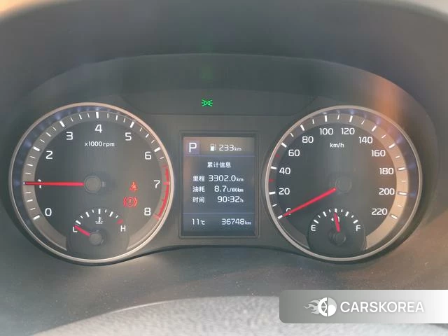 Kia Yi Ran id 4259542 из Китая 14