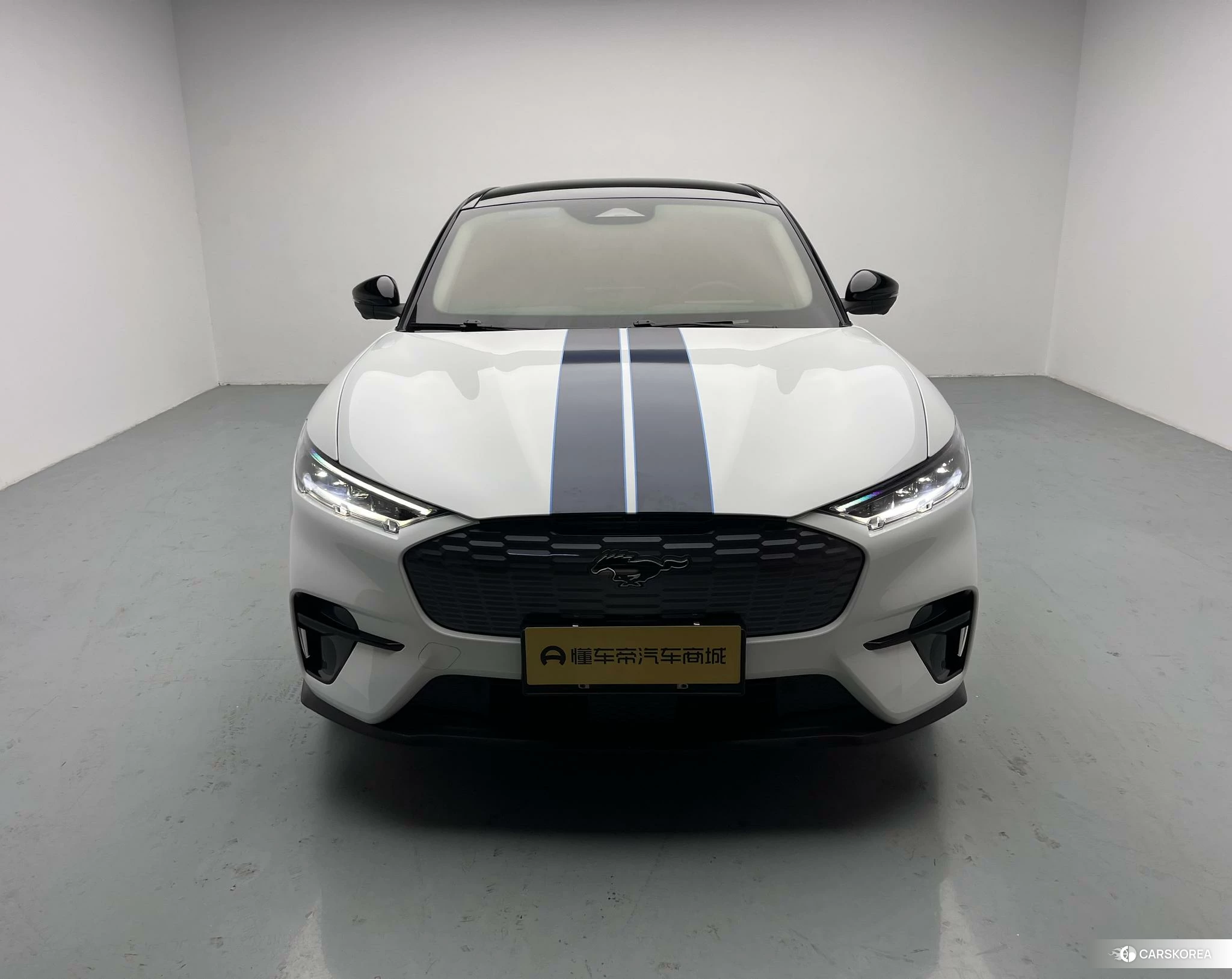Ford Electric horse id 4461393 из Китая 14