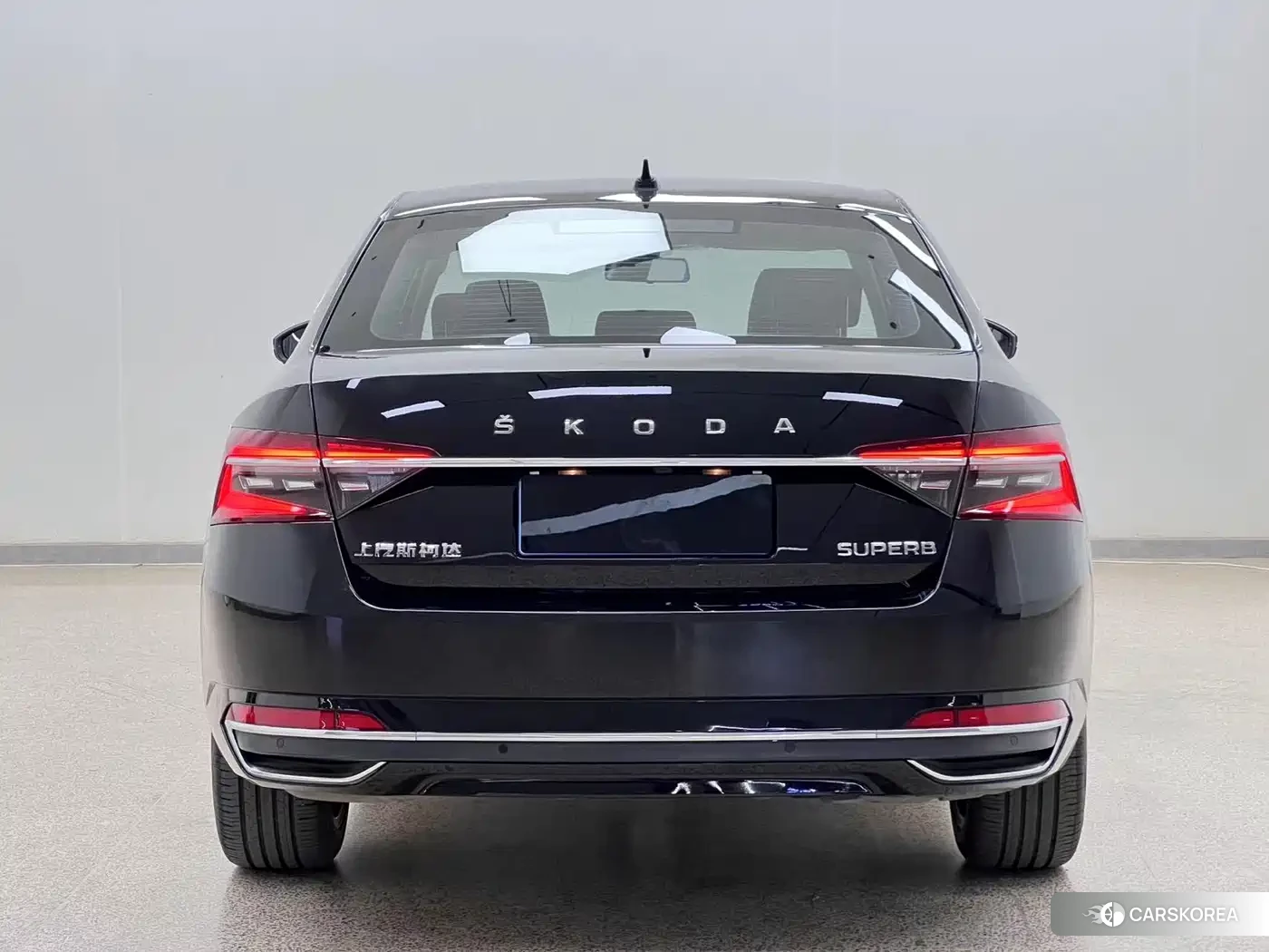 Skoda Speed pie id 4514112 из Китая 21