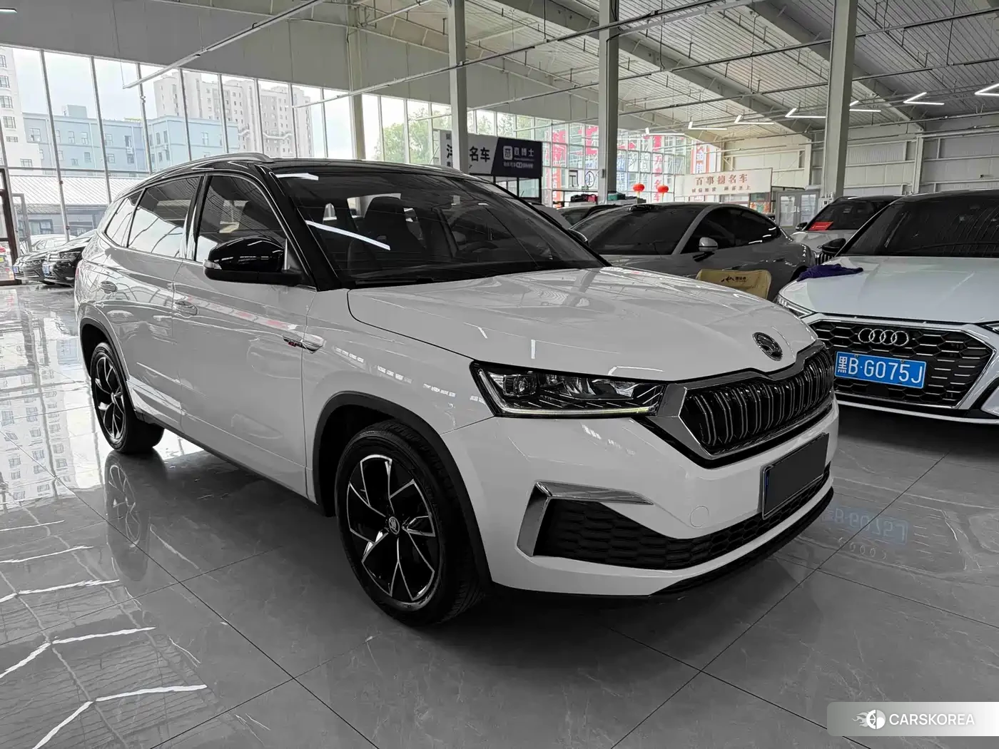 Skoda Komick id 4576408 из Китая 15