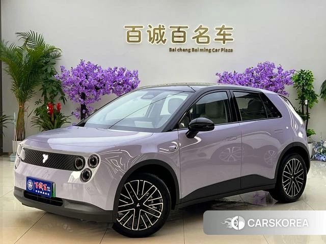 firefly firefly Unknown id 4198925 из Китая 14