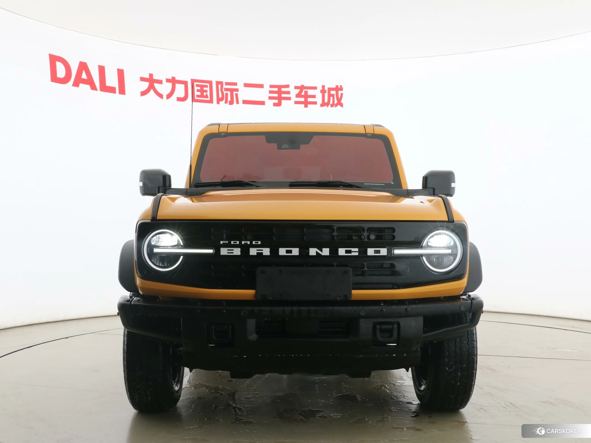 Ford Lie Ma id 4505008 из Китая 9