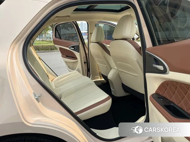 Euler Good cat id 3902216 из Китая 9