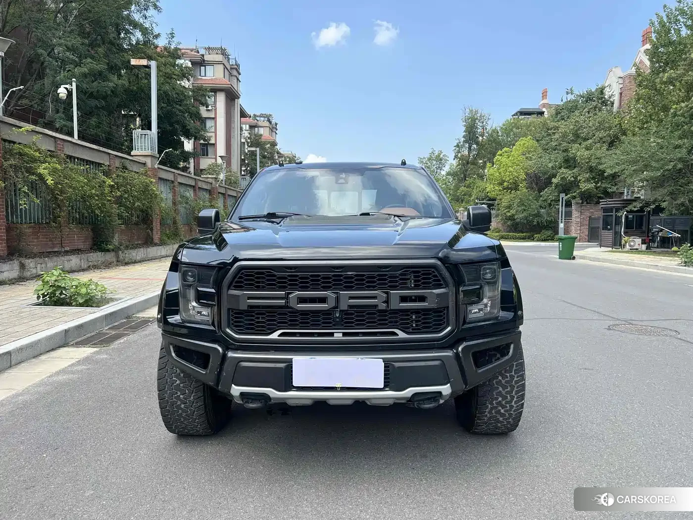 Ford F-150 id 4600873 из Китая 7