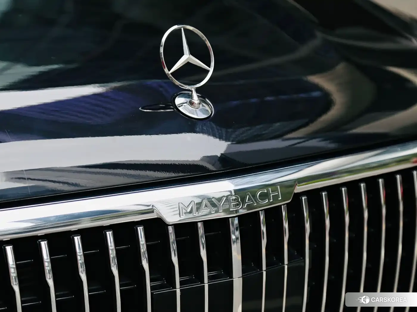 Mercedes-Benz Maybach GLS id 4553773 из Китая 12