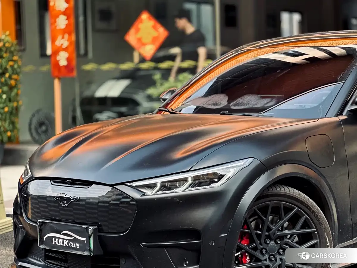 Ford Electric horse 2022 Черный из Китая, фото 4