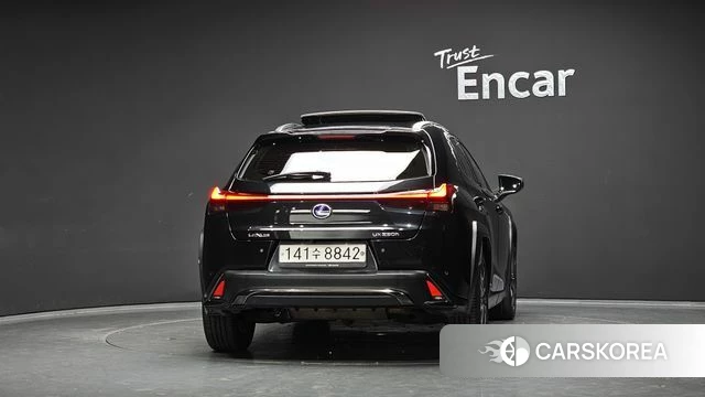 Lexus UX250h id 4741411 из Кореи 24