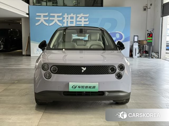 firefly firefly Unknown 2025 Фиолетовый из Китая, фото 4