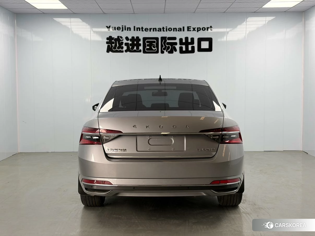 Skoda Speed pie 2023 Серебристо-серый из Китая, фото 6