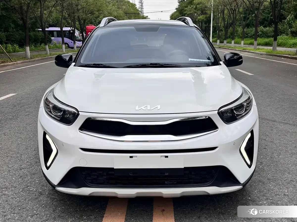 Kia Yi Ran id 4570408 из Китая 9