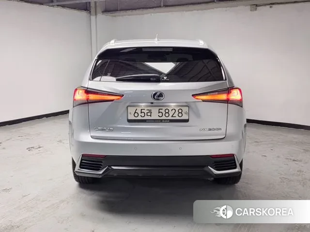 Lexus NX300h id 3677498 из Кореи 14