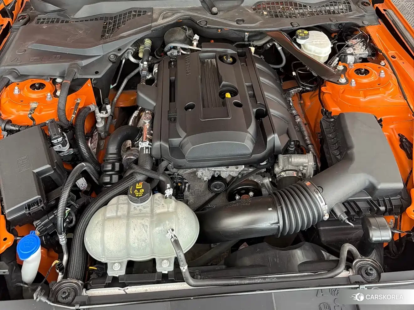 Ford Mustang id 4653871 из Китая 9
