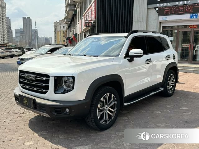 Haval Big dog 2021 Белый из Китая, фото 4