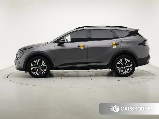 Kia Lion Platinum expands the world id 4259377 из Китая 22