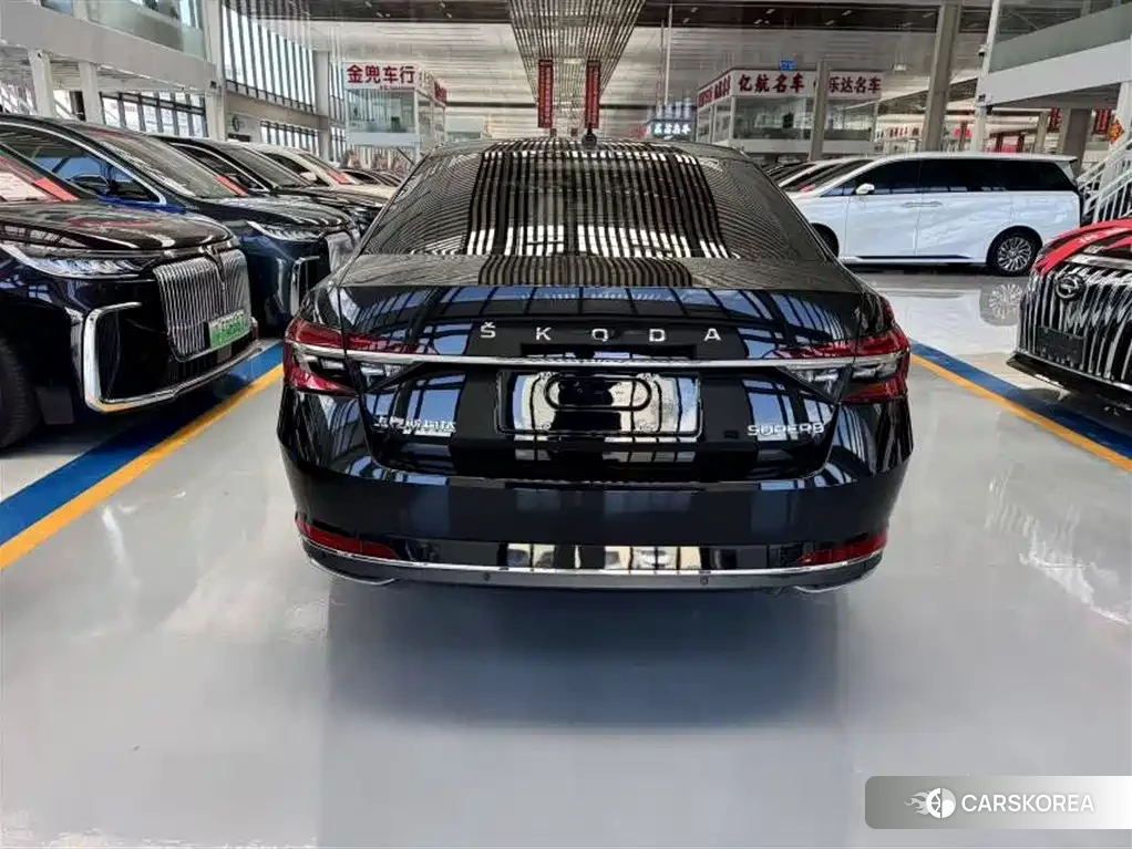 Skoda Speed pie 2026 Черный из Китая, фото 4