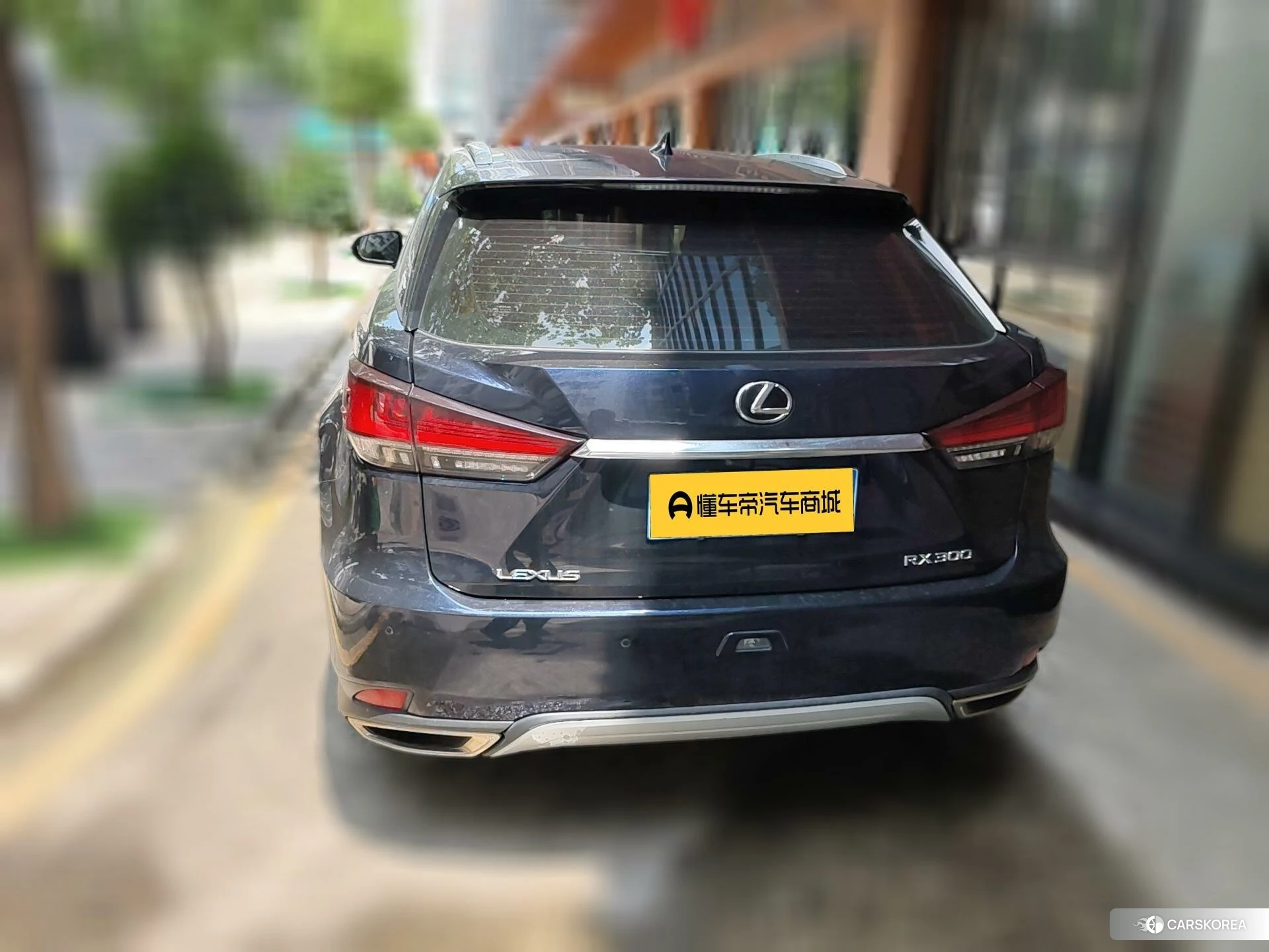 Lexus RX id 4419256 из Китая 15