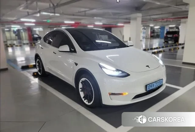 Tesla Model Y 2021 Белый из Кореи, фото 4
