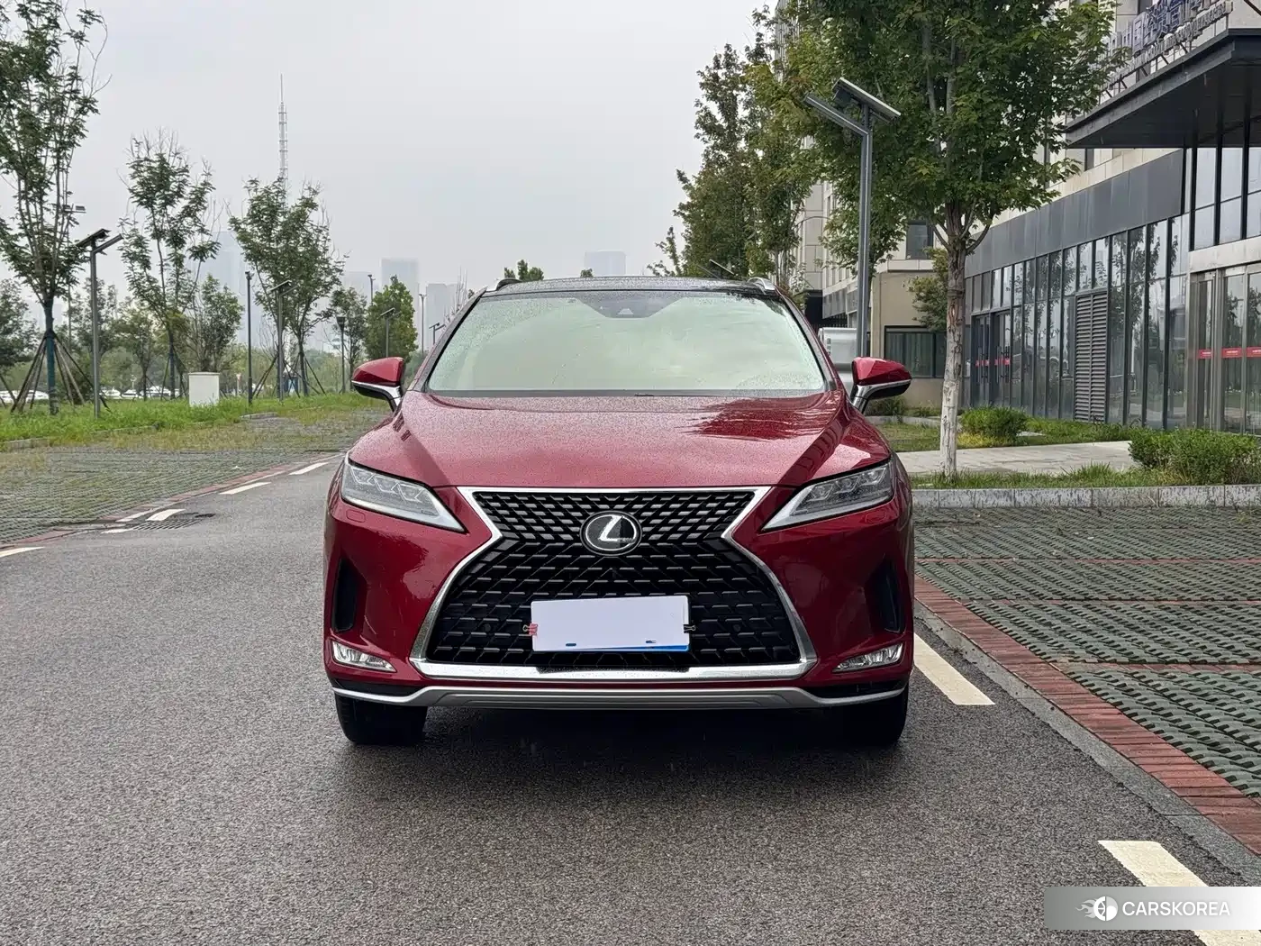 Lexus RX id 4669348 из Китая 21