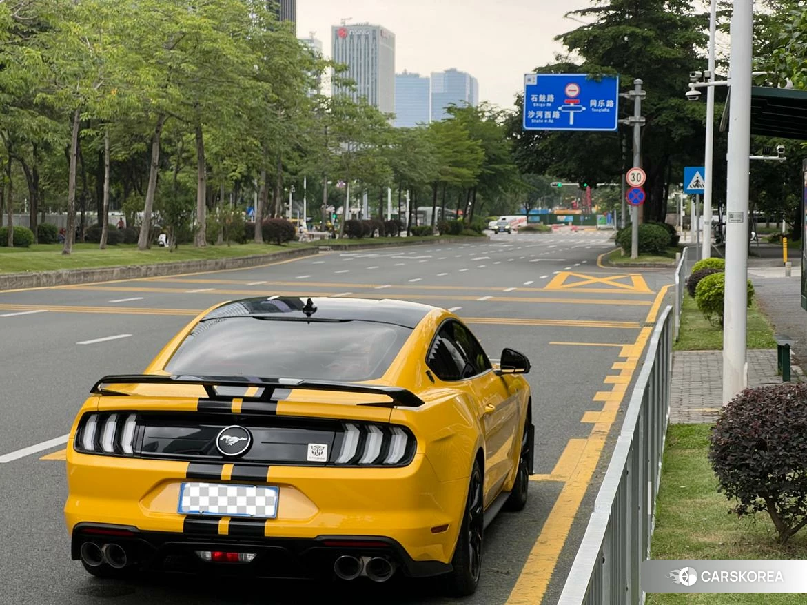 Ford Mustang id 4453154 из Китая 12