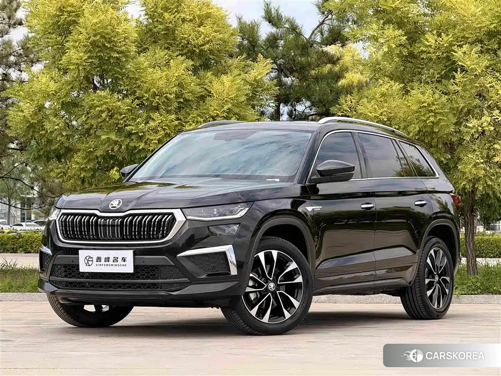 Skoda Kodiaq id 4589138 из Китая 21